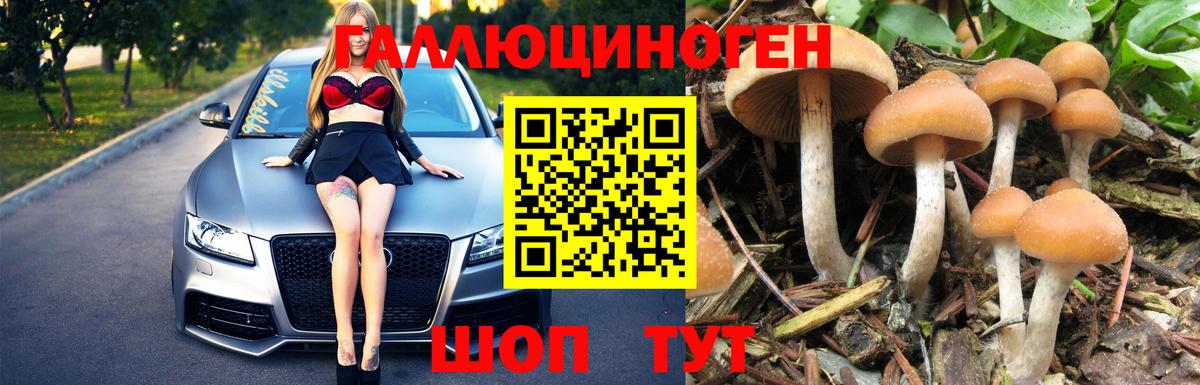 Чита  Галлюциногенные грибы ЛСД  Вход с VPN 