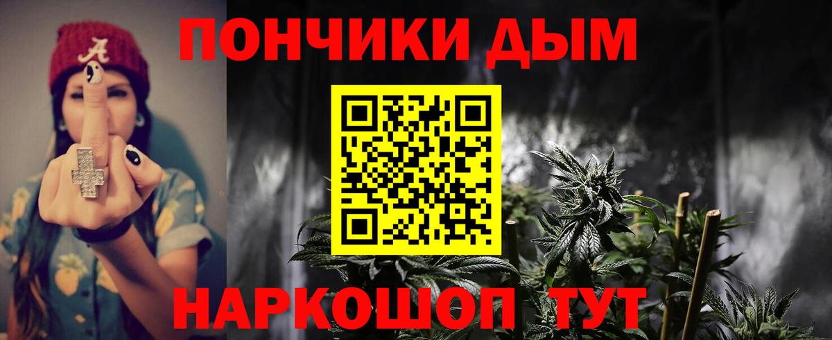 Бошки марихуана план  Марихуана сатива  Марихуана THC 21%  Канабис THC 21%  Чита  Вход с VPN 
